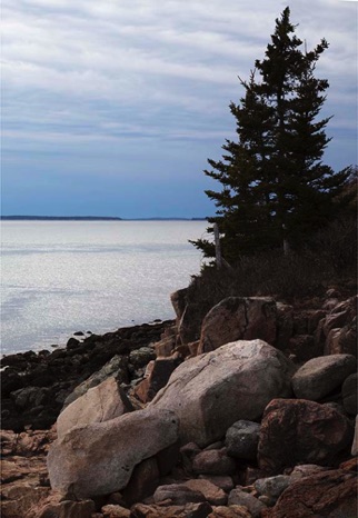 Twilight at Bass Harbor - NHP235